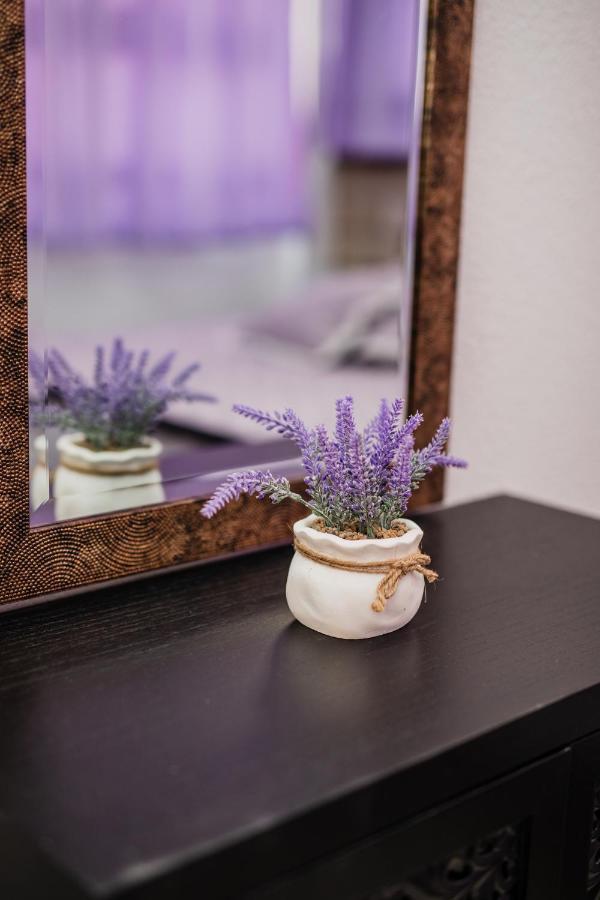 Apartmán Glicinia Šibenik Exteriér fotografie